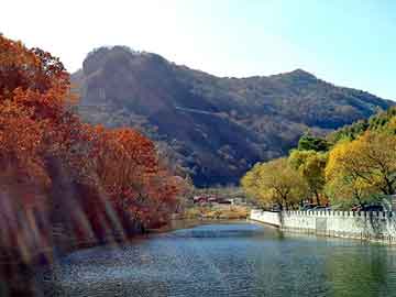 管家婆黑白马报图库，钢塑格栅